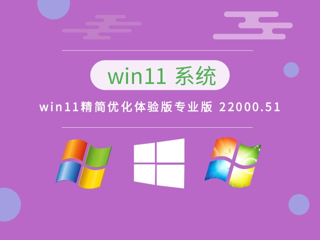 win11精简优化体验版专业版 22000.51下载