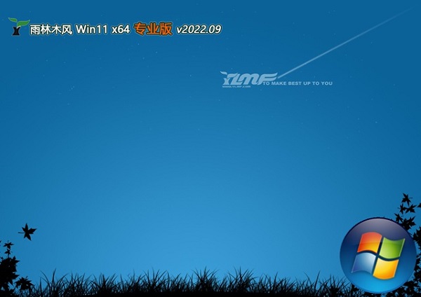 雨林木风 ghost win11 64位 专业版系统免费下载 v2023.09
