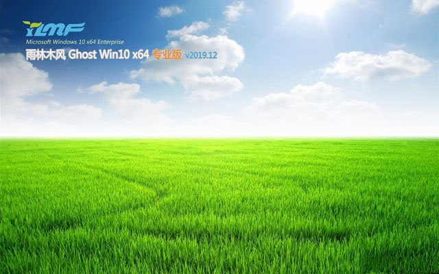 雨林木风Win10 专业版64位 v2023.12下载