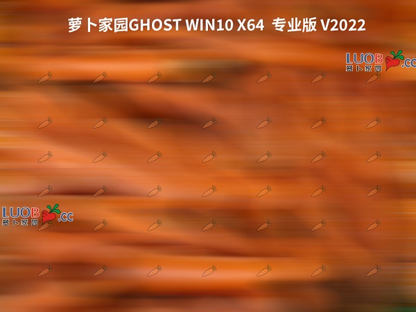 新萝卜家园Ghost Win10 64位 安全专业版 v2023.11系统免费下载