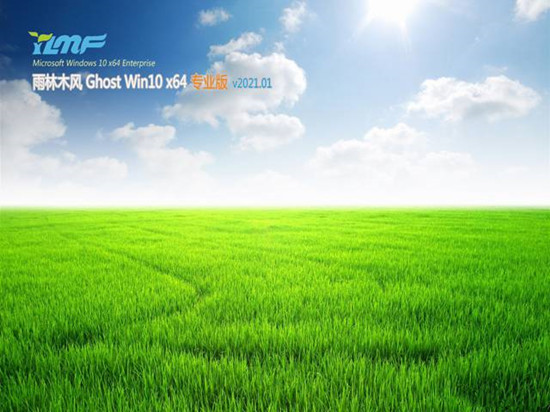 雨林木风Ghost Win10 64位 快速专业版v2023.01最新免费下载
