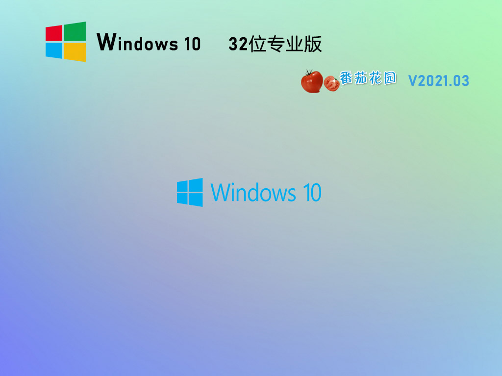 番茄花园Ghost Win10 X86极速专业版下载_番茄花园Win10 32位最新安装盘免费下载