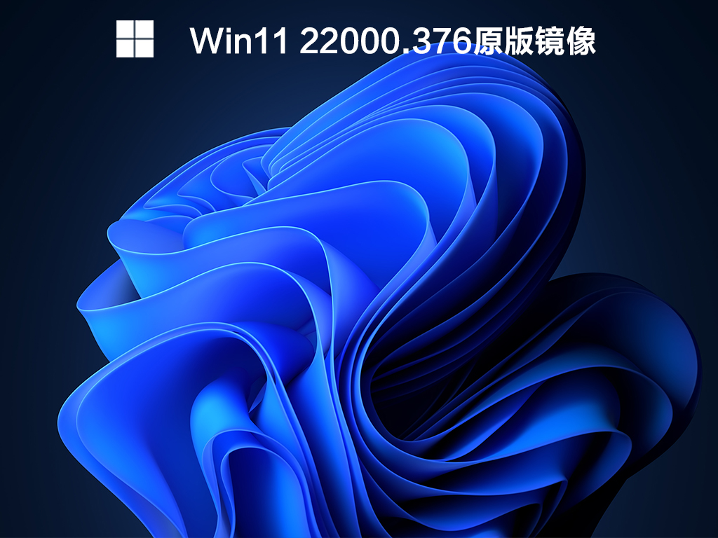 Win11 22000.376原版镜像下载_Win11 22000.376官方版下载