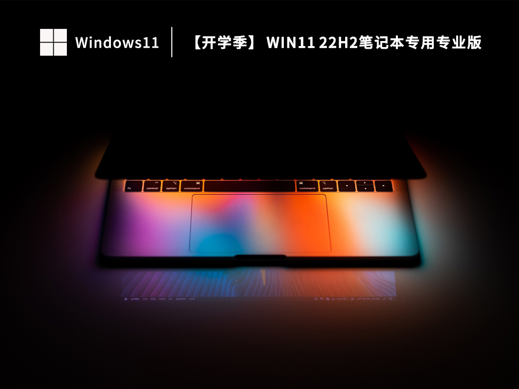 笔记本专用Win11系统下载_Win11 22H2笔记本专用专业版(通用免激活) 下载