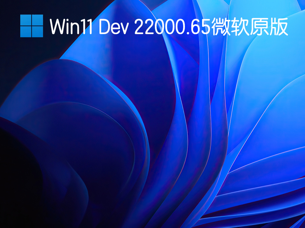 Win11 22000.65微软原版镜像下载_Win11 Dev 22000.65简体中文版下载V2021