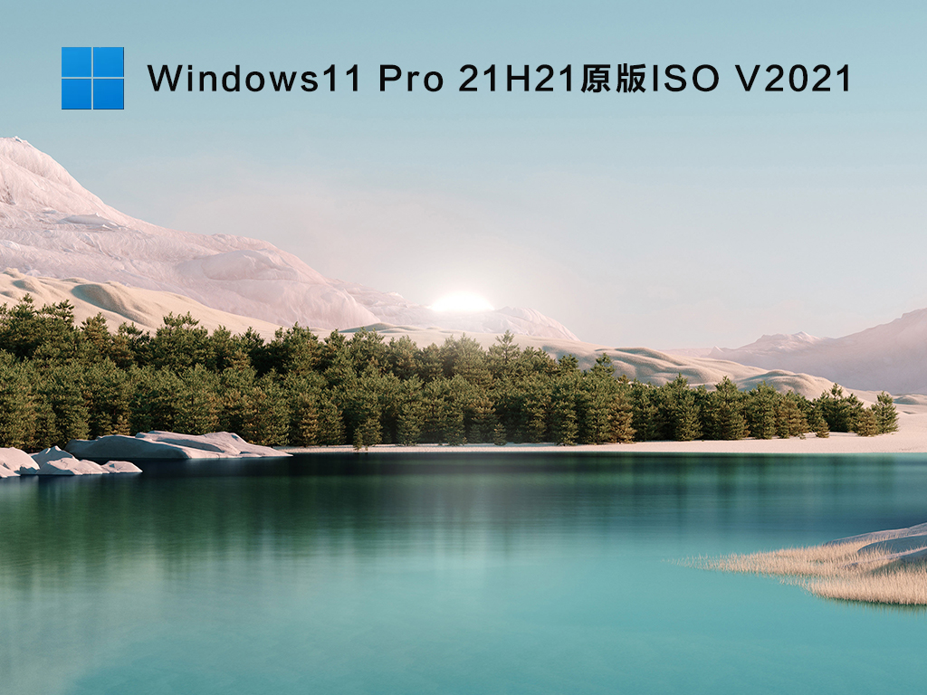 微软Win11专业版下载_Windows11 X64 Pro 21H2(10.0.22000.51)原版ISO下载V2021