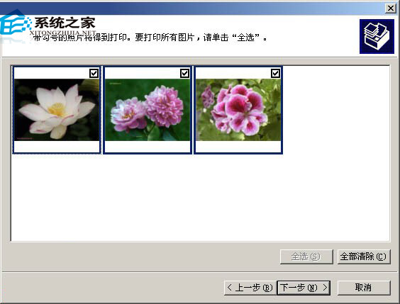 WinXP使用图片和传真查看器功能在一张纸上打印多幅图片