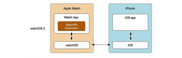 Apple Watch为什么不能直接运行程序?