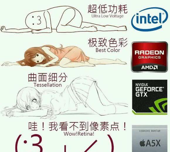NVIDIA和AMD区别是什么 NVIDIA和AMD显卡对比介绍