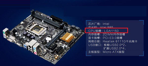 怎么知道主板支持什么CPU？主板和cpu兼容搭配知识介绍