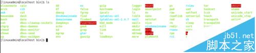 Linux中文件系统的目录结构详细介绍