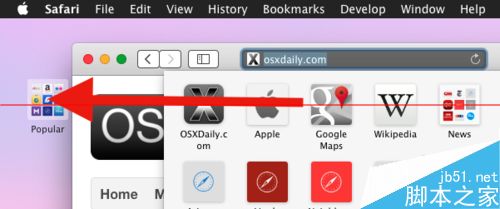 苹果OSX上怎么移除Safari 标签页的浏览记录图标？