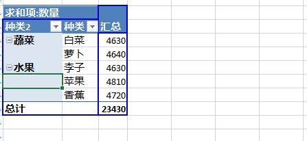 Excel2013数据透视表字段分组图文步骤