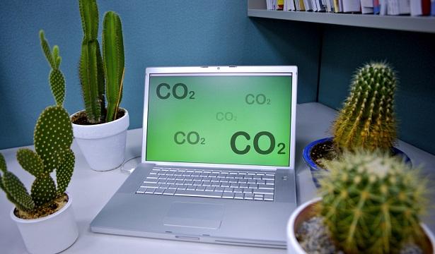 电脑旁边放什么植物好？防辐射植物推荐